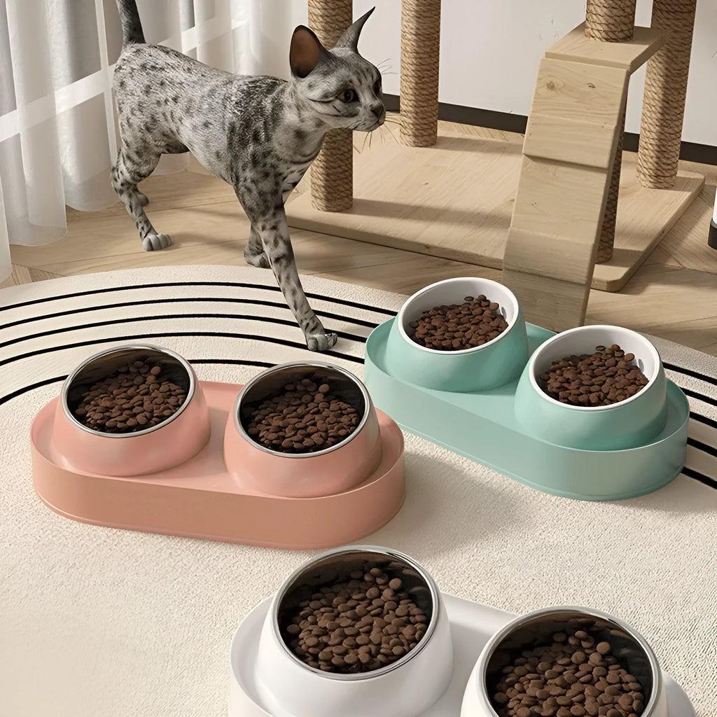 White elevated double pet food bowl with tilted design for cats and small dogs on a non-slip base.