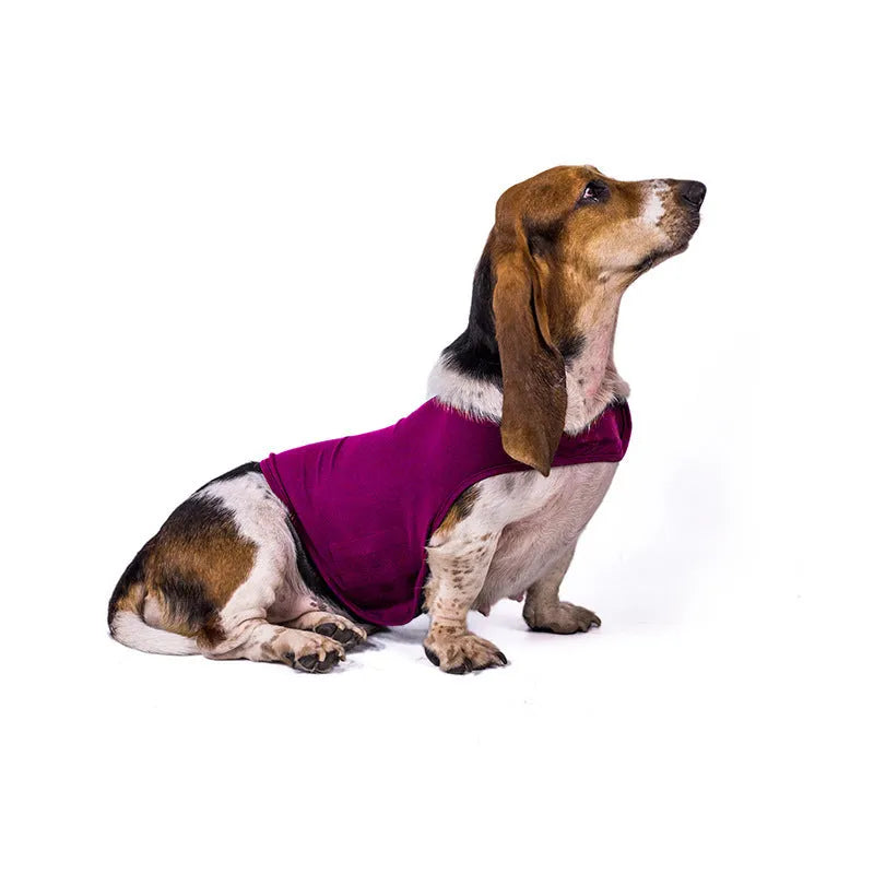 Acrylic cat anxiety jacket vest in dark gray, lake green, fluorescent green, rose red, or light gray, sizes XS-XL.