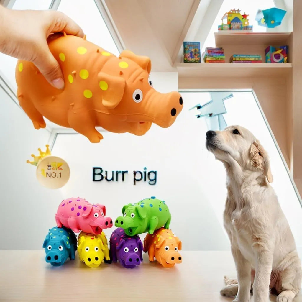 Latex pig-shaped dog chew toy with colourful options for aggressive chewers