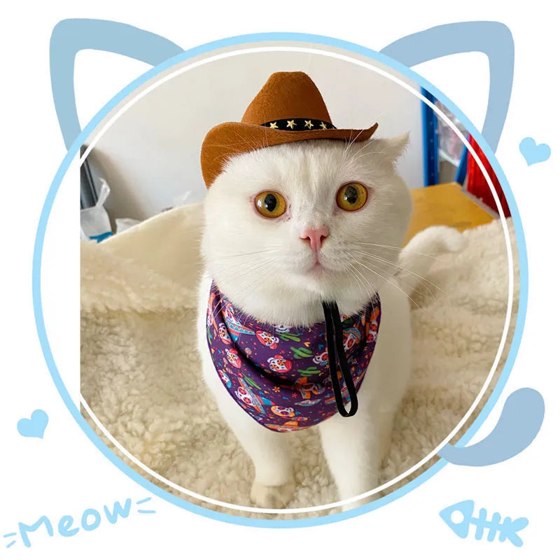 British cat hat costume accessory with decorative bands in brown, pink and black colour options