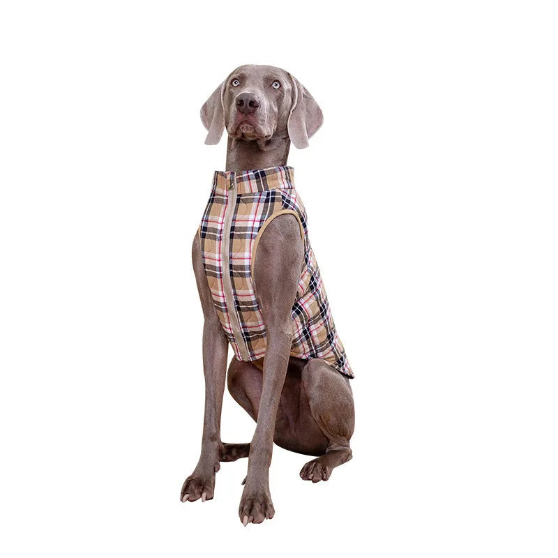 Winter dog jacket in heavy cotton quilted gourd fabric with plaid pattern and reflective webbing