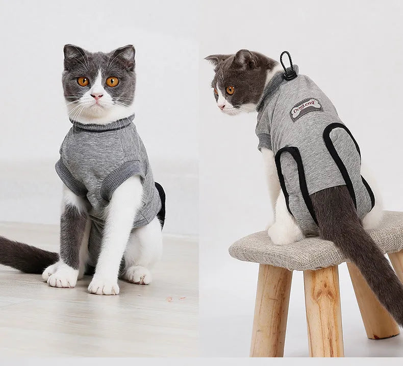 Pure cotton cat recovery suit for post-surgery, anti-lick design, sizes XS S M.