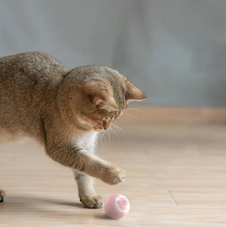 Blue automatic moving cat ball with silicone construction and charging cable