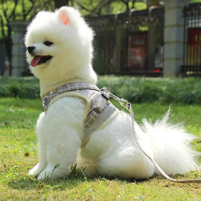 Reflective dog leash traction belt with strips made of polyester in grey colour
