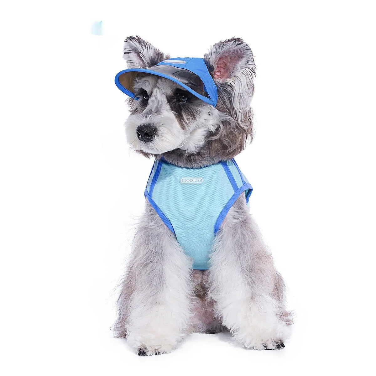 Blue 100% nylon dog hat for spring and autumn, shown in sizes S, M, and L