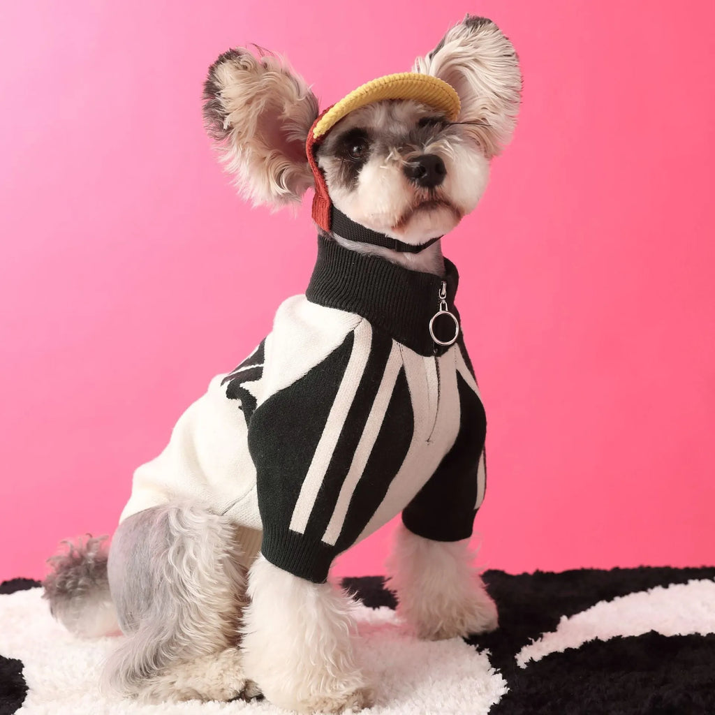 Red wool sports cardigan for medium-sized dog on mannequin showing casual pet clothing design