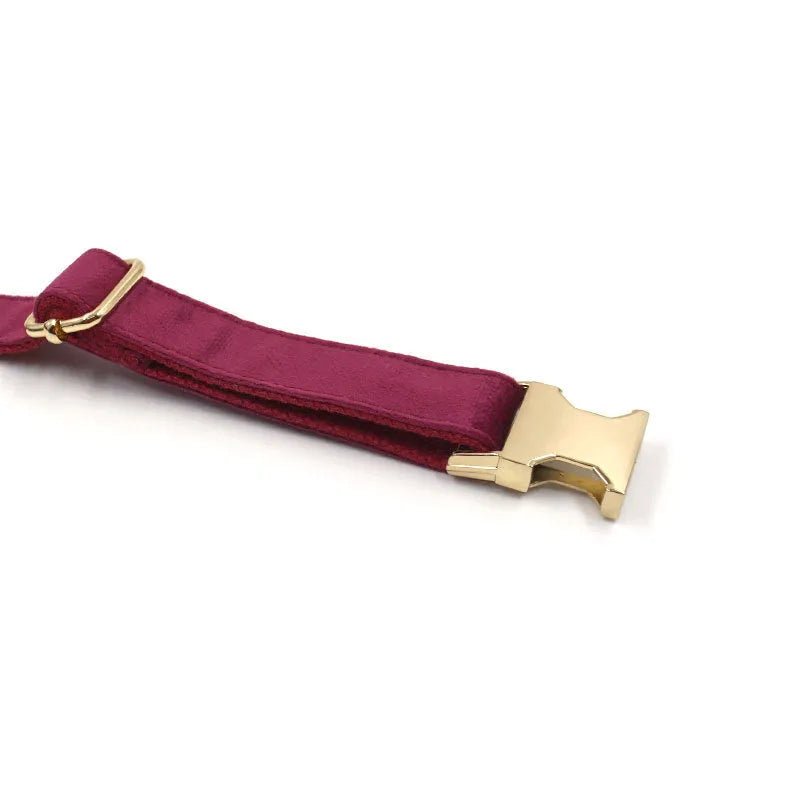 Soft burgundy velvet dog collar with gold metal clasp, available in XS to XL with optional engraving