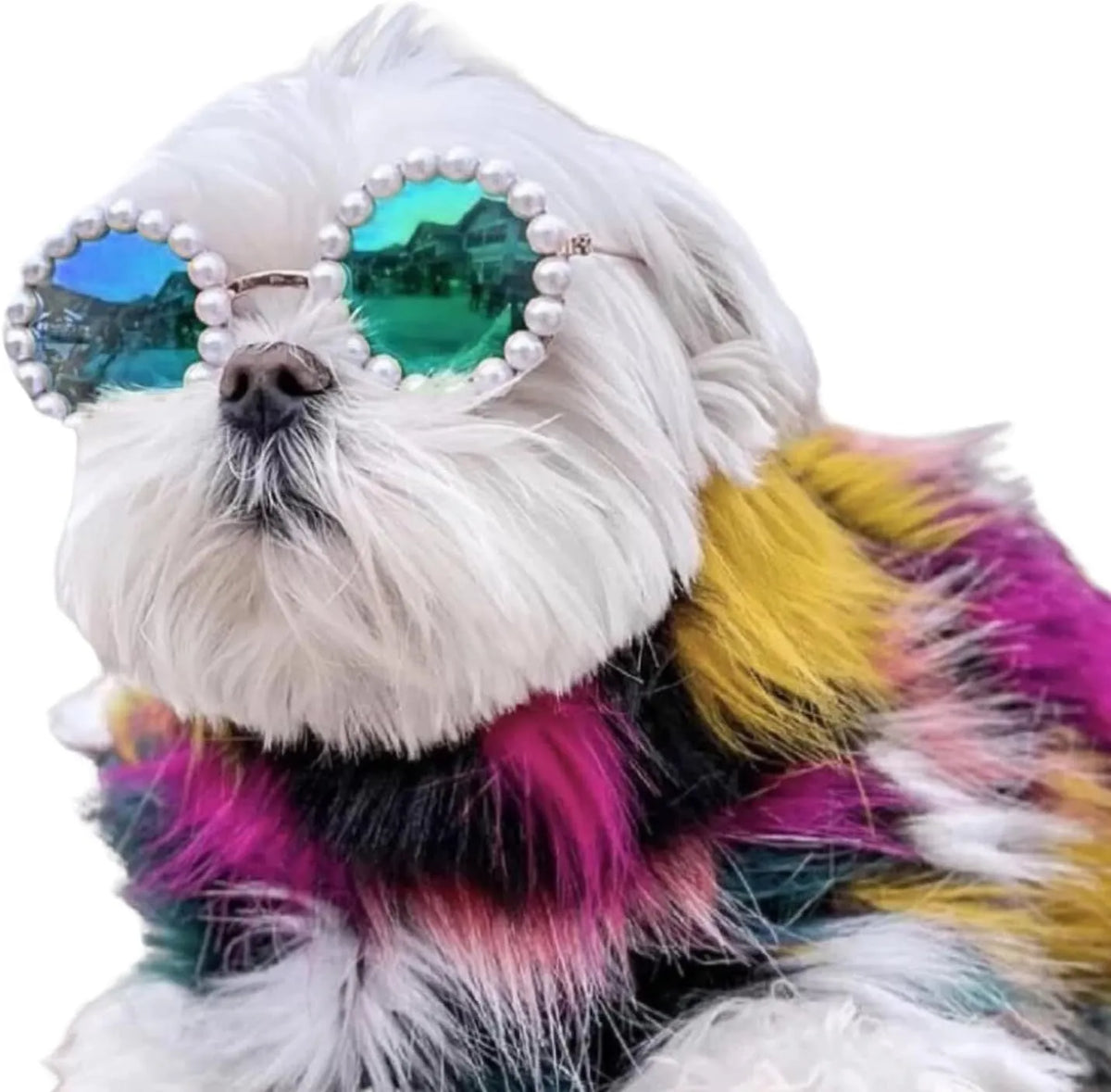 Pearl-rimmed round sunglasses for a cat or dog, shown in blue, with size options of 11cm and 8cm.