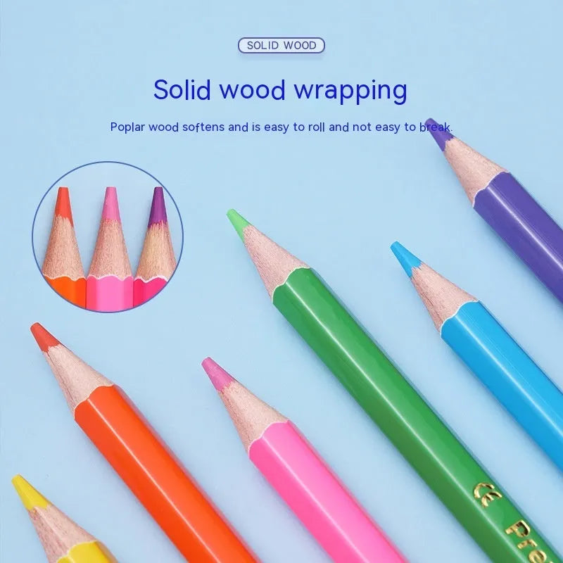 Set of wooden double-tipped colouring pencils in a case, showing the two colour leads on each pencil.
