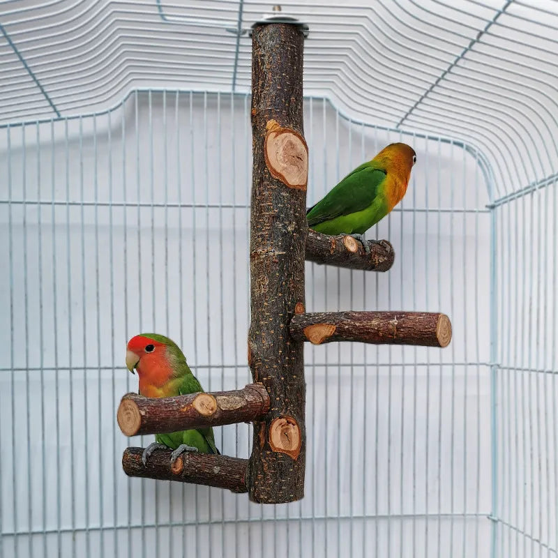 Apple wood parrot bird stand with pole, assembled perch toy in picture colour for small parrots