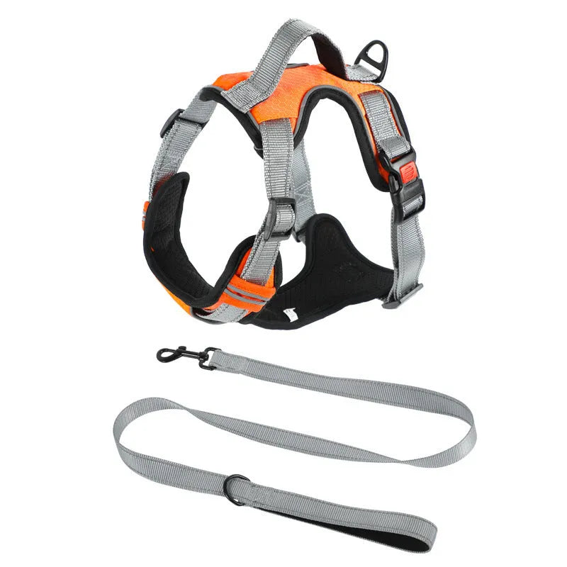 Orange dog harness vest with hand holding rope attached to chest strap for walking control