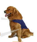 Dog wearing calming anxiety relief tank top in cotton blend fabric