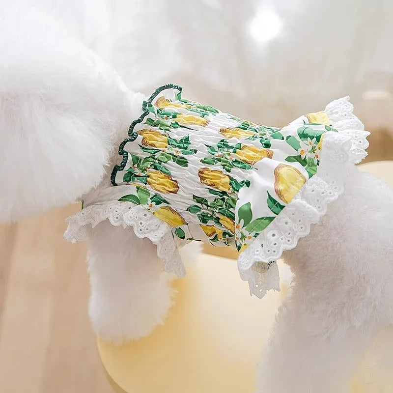 Rock yellow lemon polyester princess style dog dress with thin straps on a small dog.