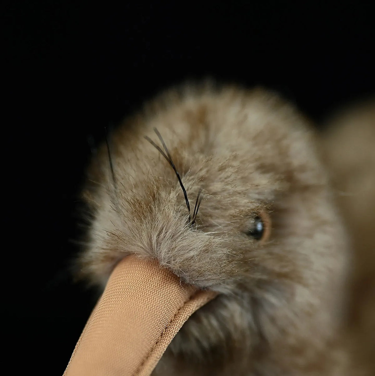 Kiwi plush toy 25cm tall 13cm wide chemical fibre iron wire New Zealand Juwei doll