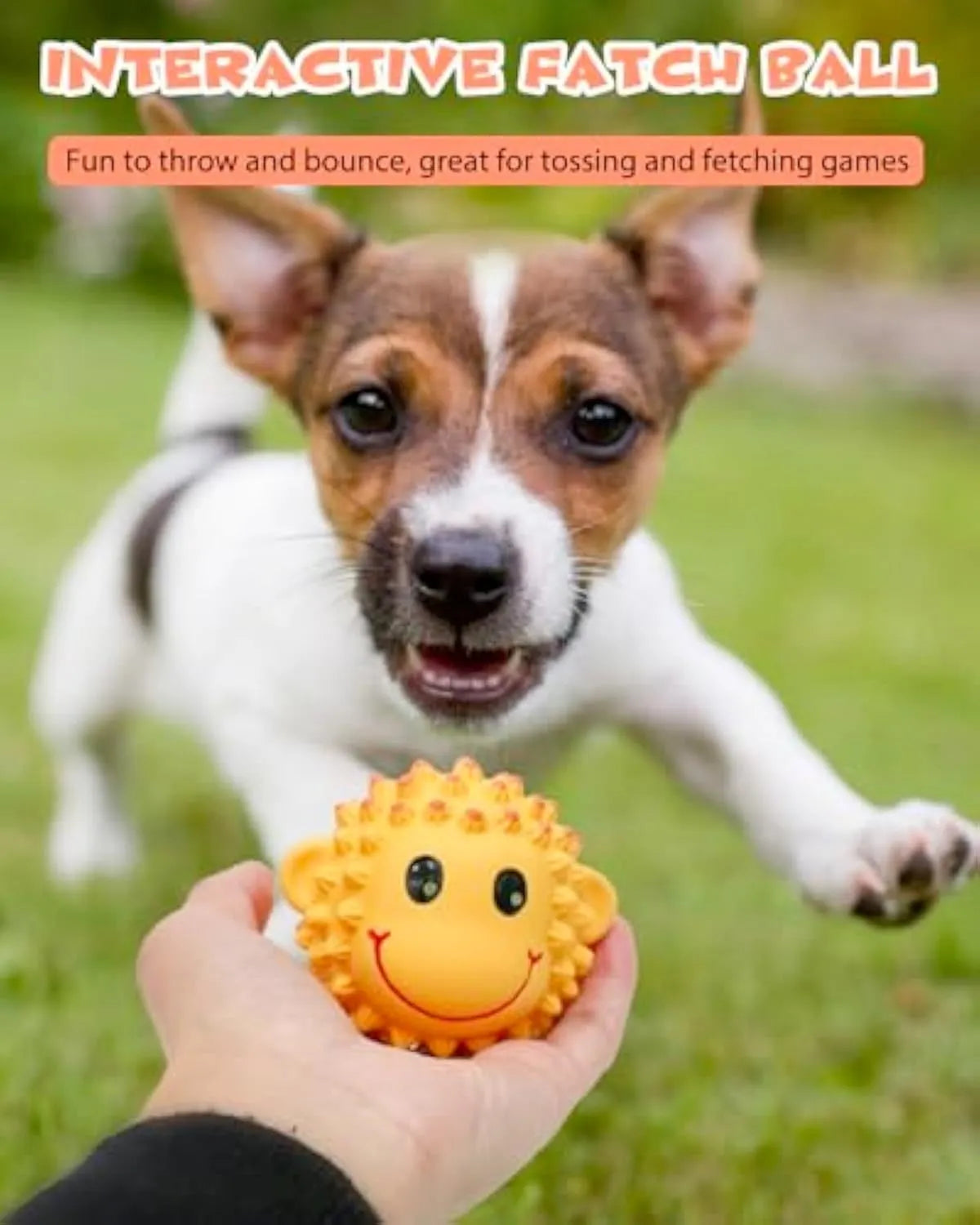 Orange and yellow spiky latex dog toys with animal designs, approximately 3 inches diameter