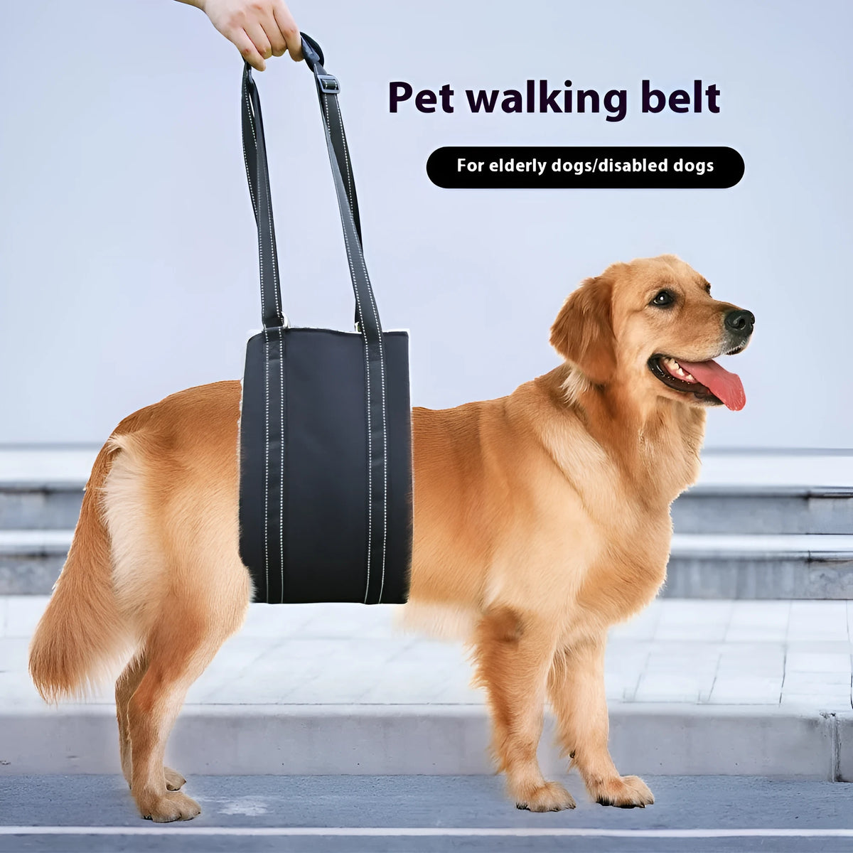 Black teddy plush adjustable dog rehabilitation training belt in sizes S M L XL with auxiliary tape