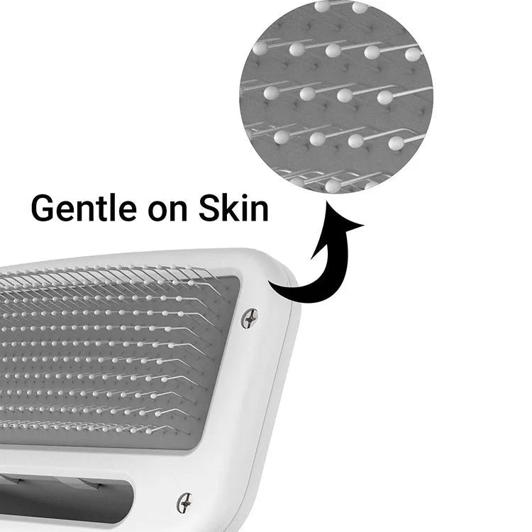 White pet electric hair dryer comb for dogs and cats with two-speed airflow and 2m power cord