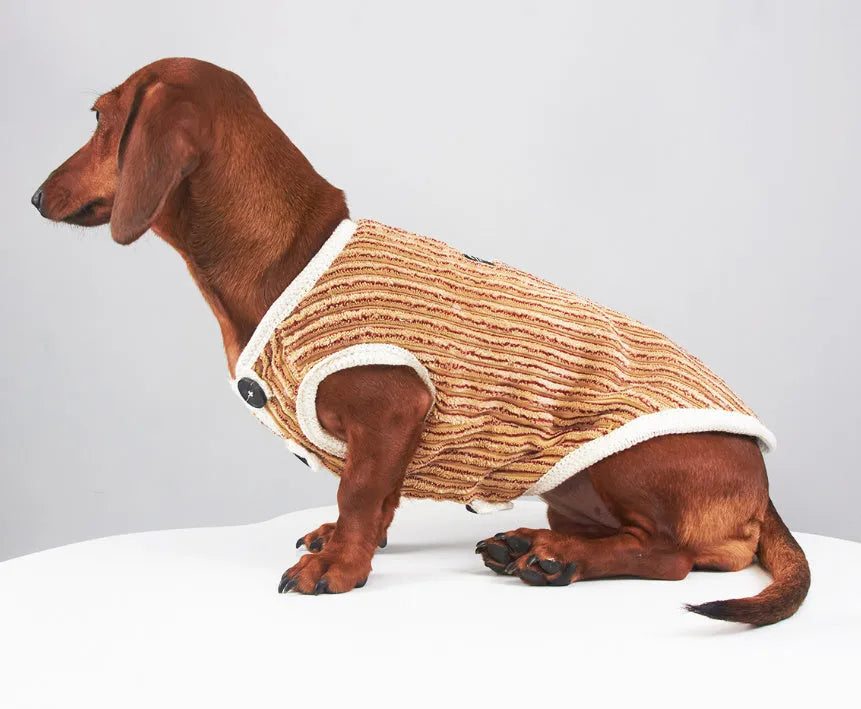 Brown striped dog hoodie for small breeds, sizes M to 2XL, spring autumn pet clothing
