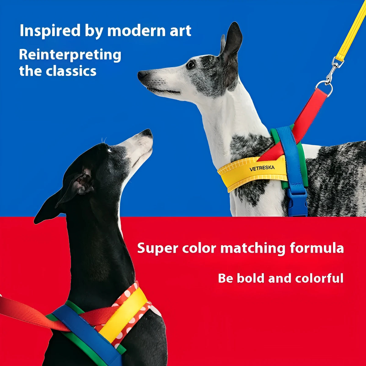 Pet dog walking chest strap and traction rope set in polyester material
