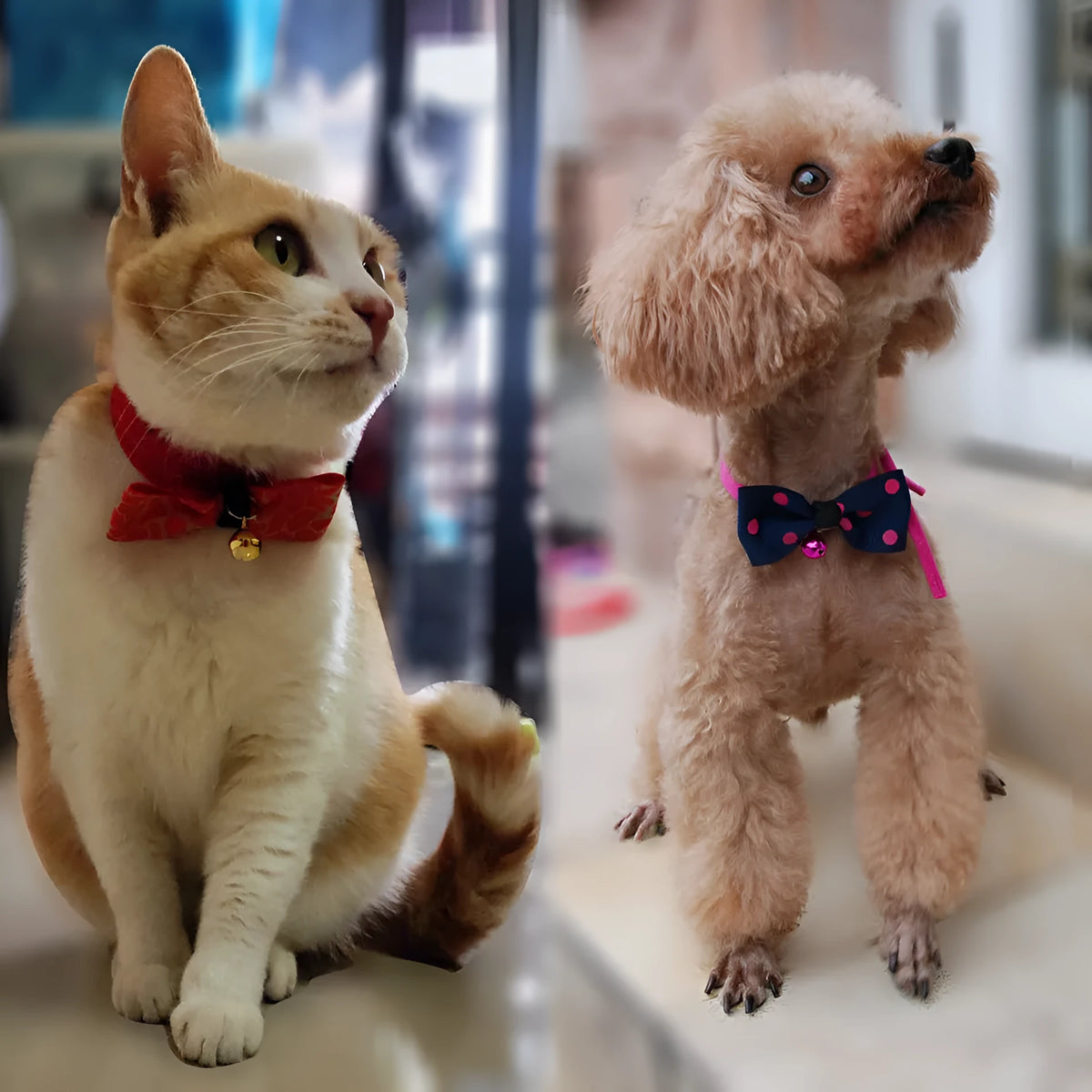 Pet bow tie with copper bell and adjustable neck strap up to 56 cm in polyester material