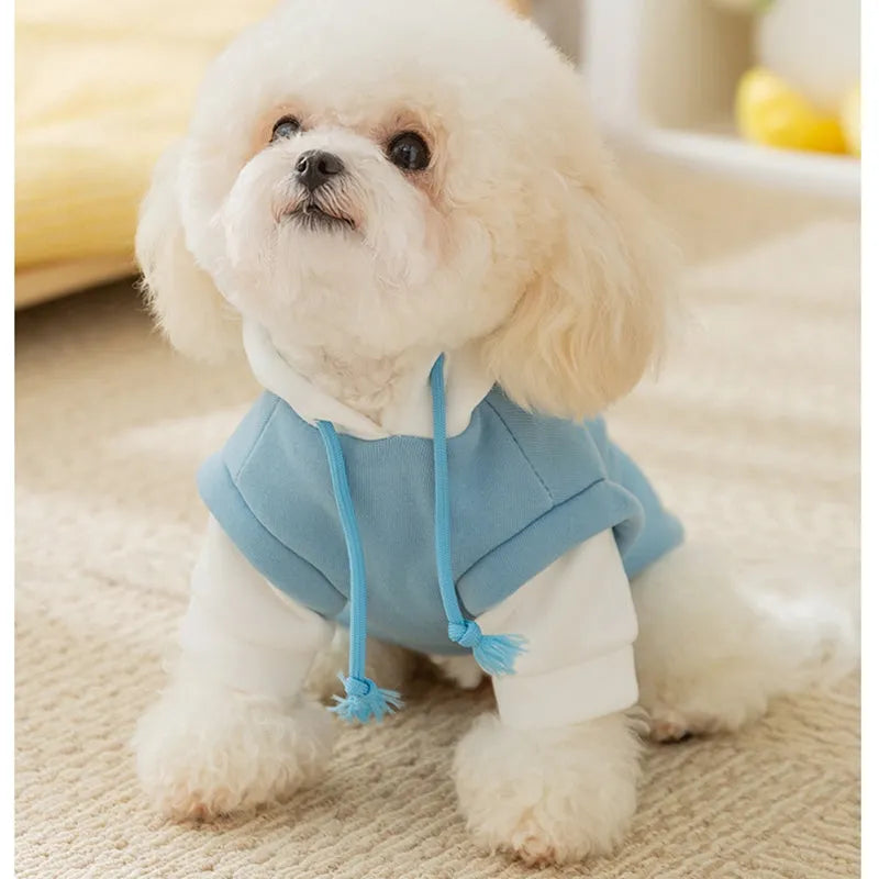 Blue thin fleece pet hoodie with white drawstring hood and cute cartoon dog graphic, sizes XS to XXL