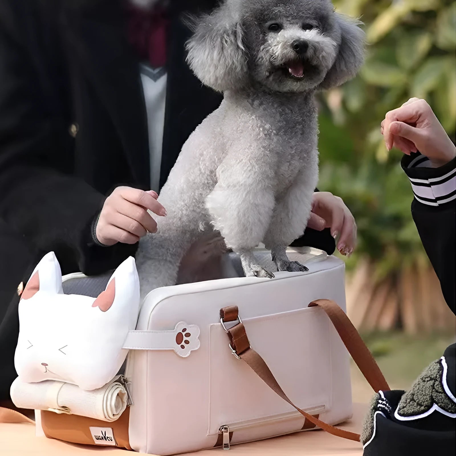 Beige hard-shell pet flight case with one-shoulder carry strap and EPE padded interior