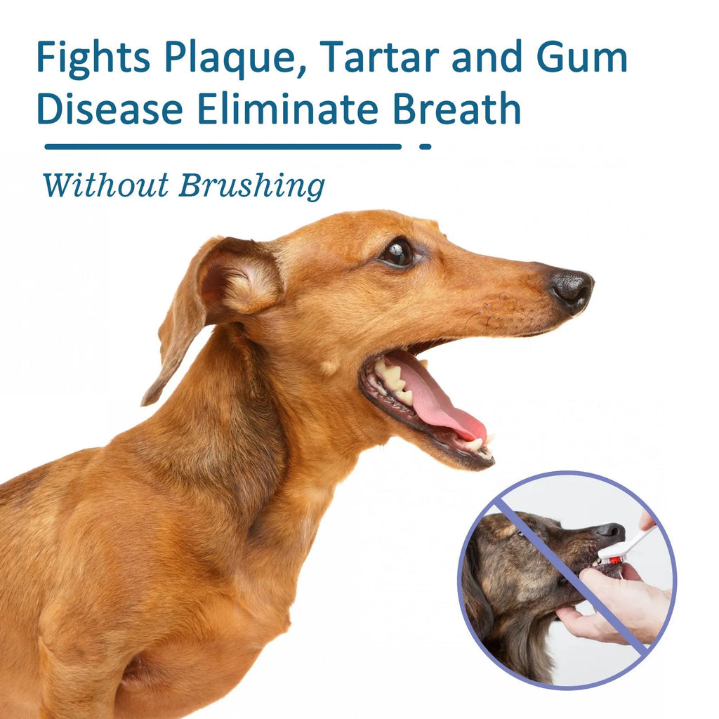 Pet oral spray 59ml bottle with enzyme and mint formula for tartar removal and fresh breath