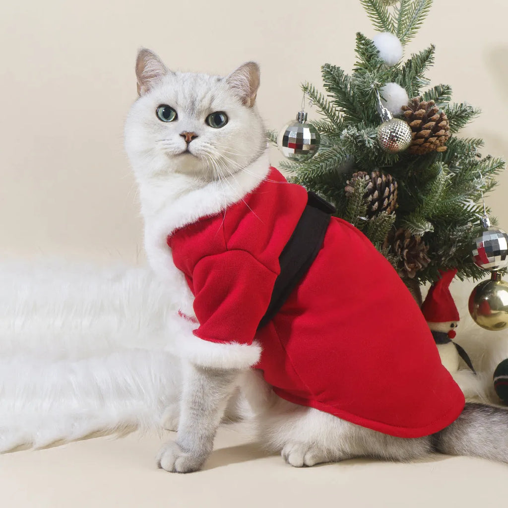 Red polyester Christmas pet clothing for cats and dogs on a plain background