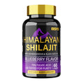 BSYS Shilajit Gummies 60's bottle containing 60 chewable shilajit gummies