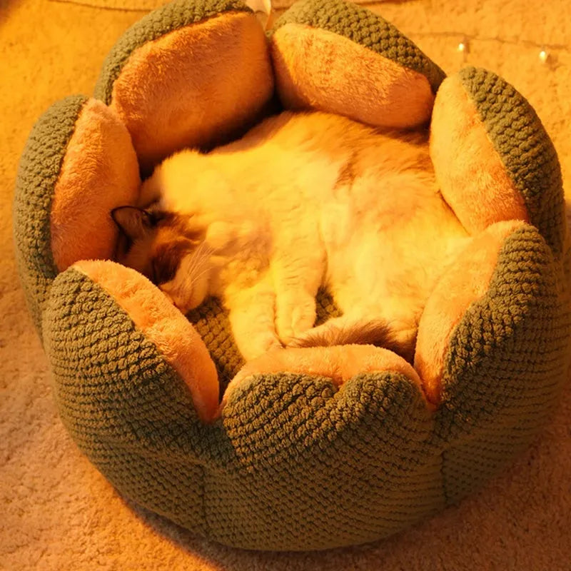 Green cactus petal-shaped soft plush pet bed for cat or dog on a hardwood floor.