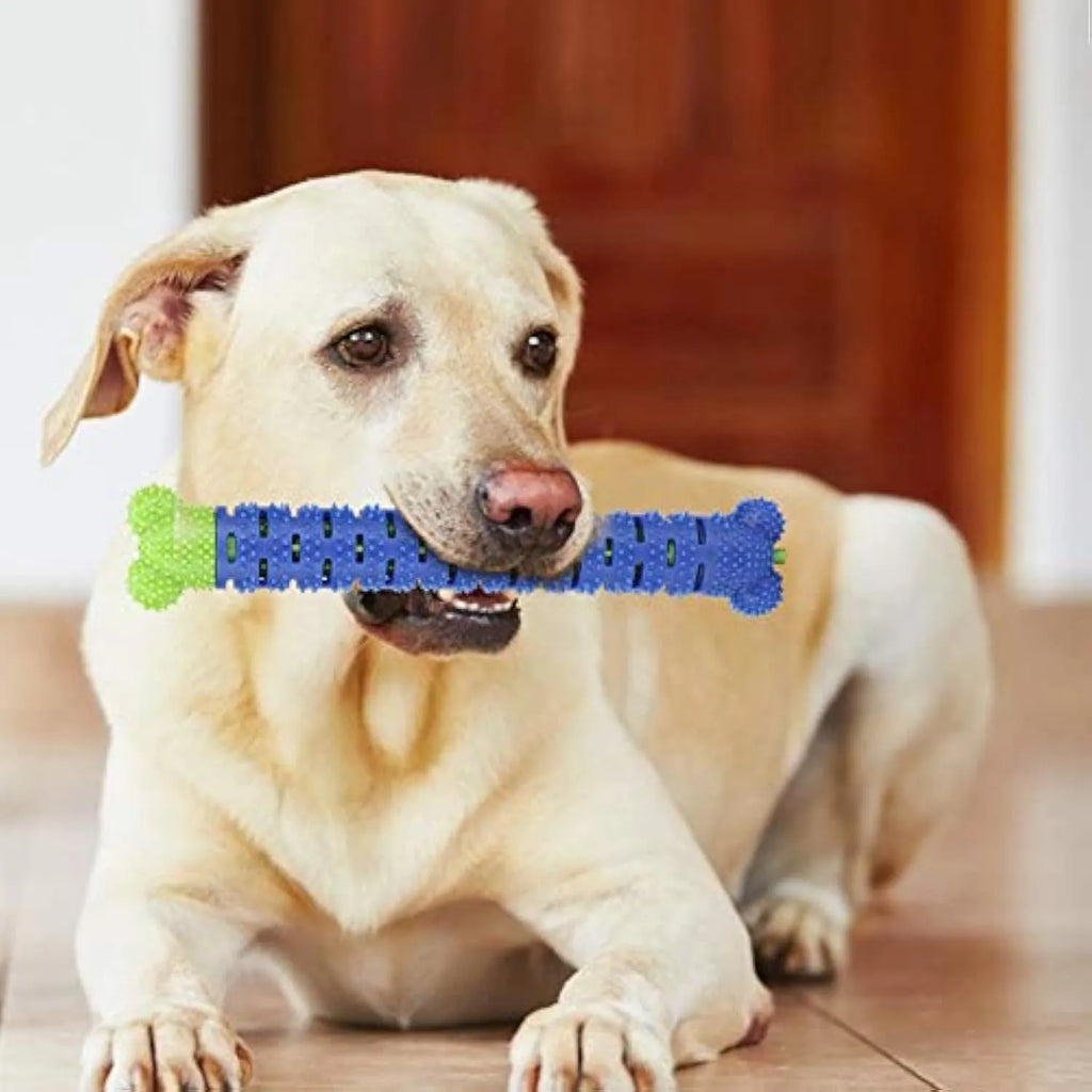 Blue-green dog dental chew toy with silicone brushing nodules and massage bumps for teeth cleaning