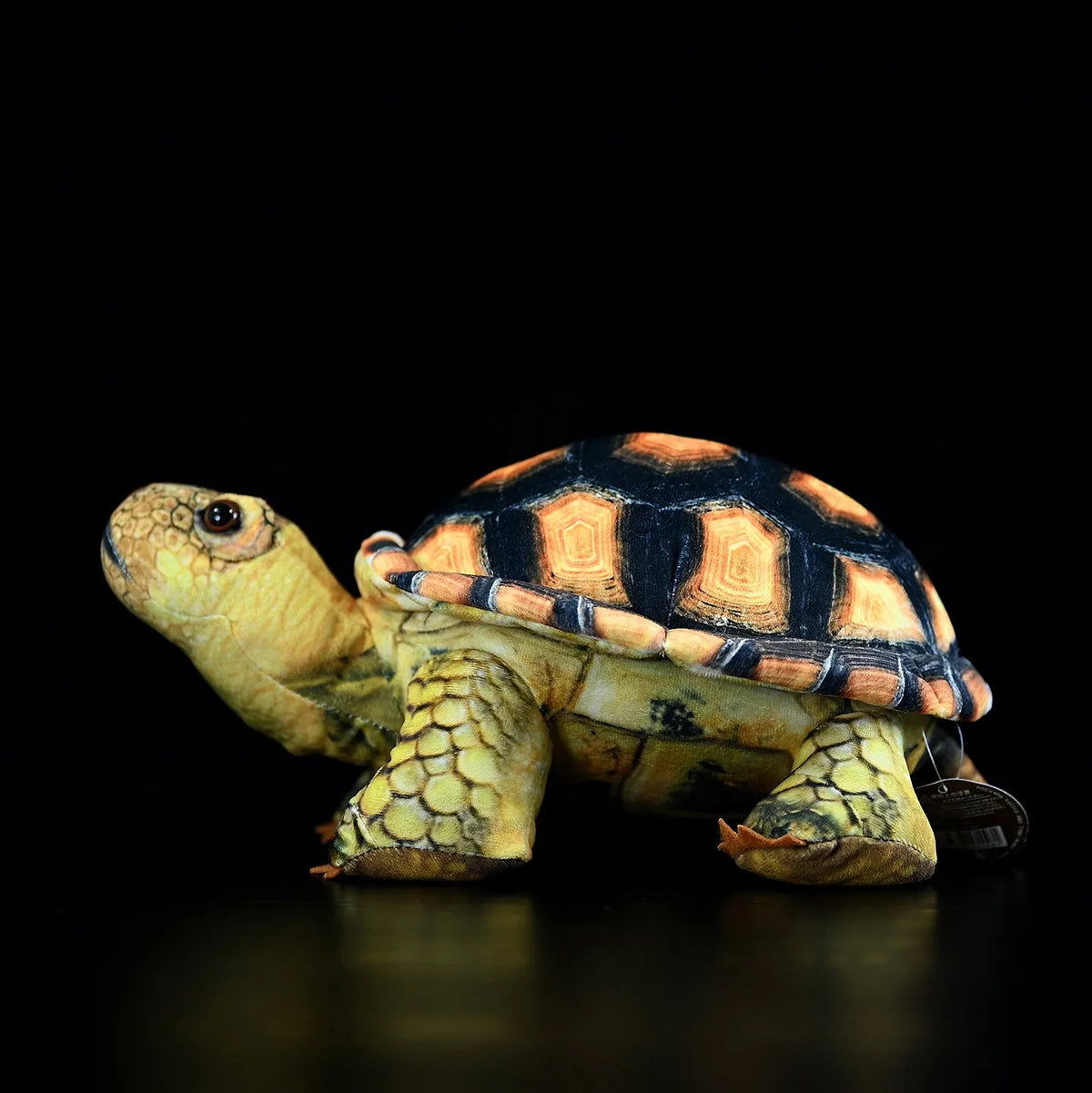 35cm simulation tortoise plush toy in tortoise colour showing realistic design and soft texture