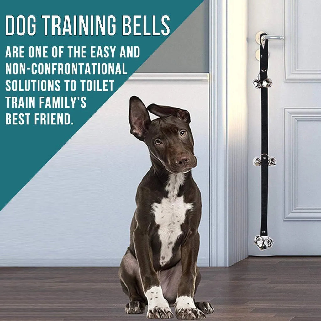 Adjustable dog training doorbell with silver metal bells on a black nylon leash, hung on a door.