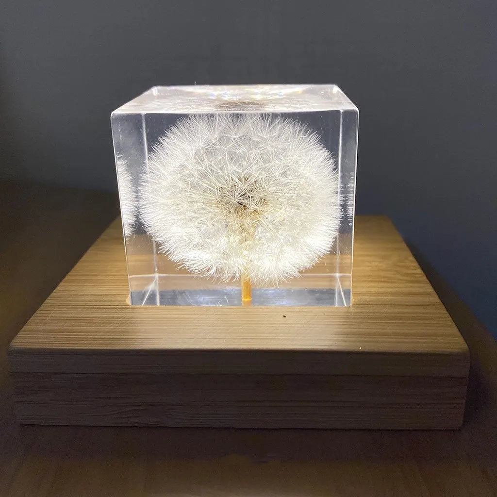 Clear cubic resin block with a dandelion flower inside, on a wooden box next to a USB charging base.