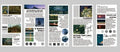 Pack of 20 rectangular landscape painting paper stickers measuring 60mm by 120mm.