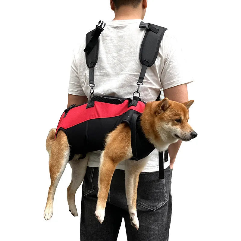 Solid colour Oxford cloth pet backpack carrier shown in multiple two-tone colour options.