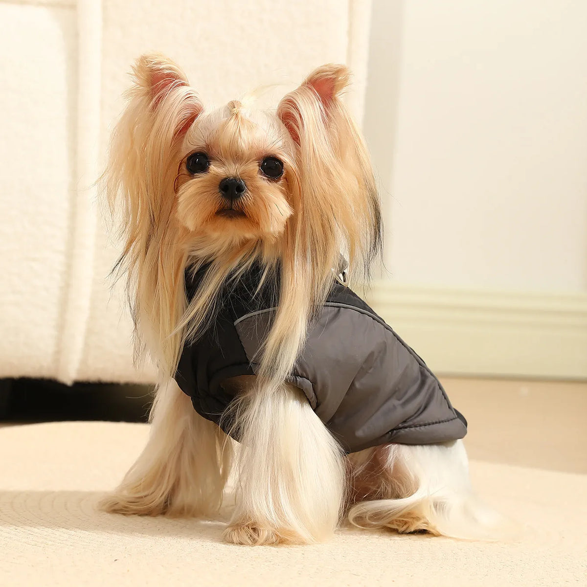Reflective pet coat in polyester with contrast colour shell, available in four colours and sizes XS to 2XL.