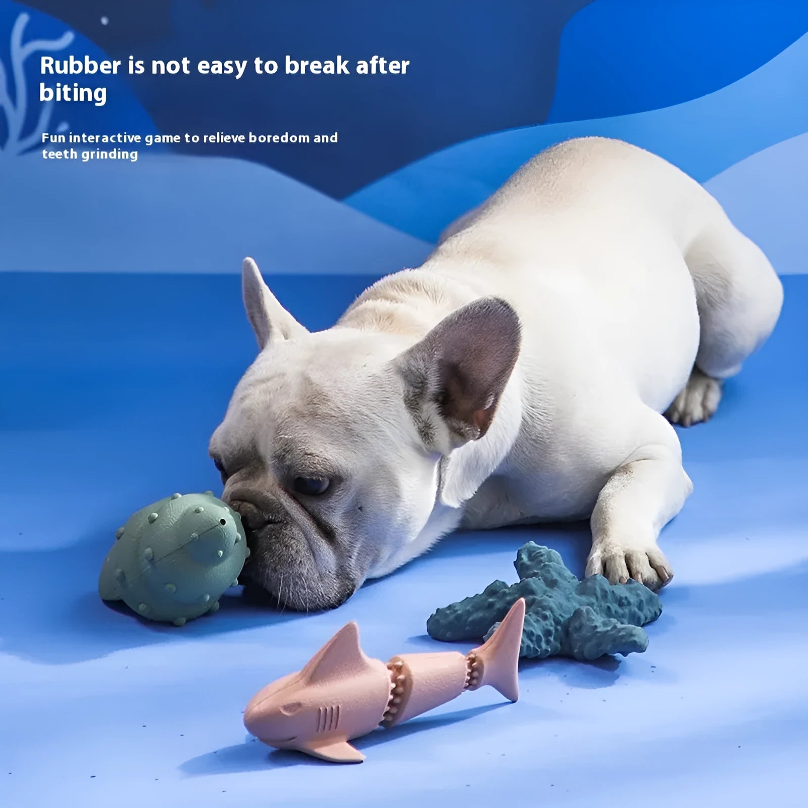 Blue shark-shaped rubber dog chew toy on a white background