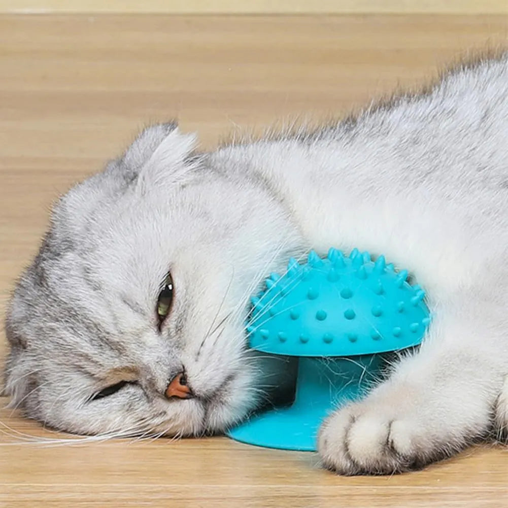 Wall-mounted cat self groomer in blue with brush head and catnip compartment for loose fur removal
