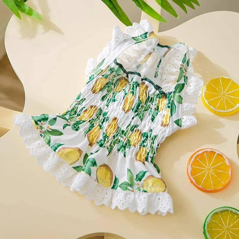 Rock yellow lemon polyester princess style dog dress with thin straps on a small dog.