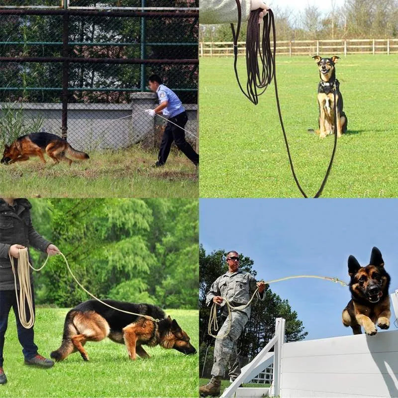 Dog training belt long line lead in beige or coffee, 0.8cm diameter, 3m 5m 10m or 20m length