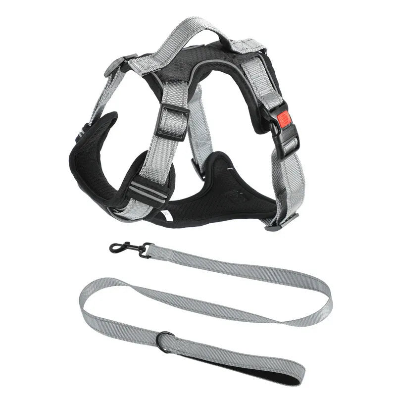 Orange dog harness vest with hand holding rope attached to chest strap for walking control