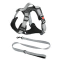 Orange dog harness vest with hand holding rope attached to chest strap for walking control