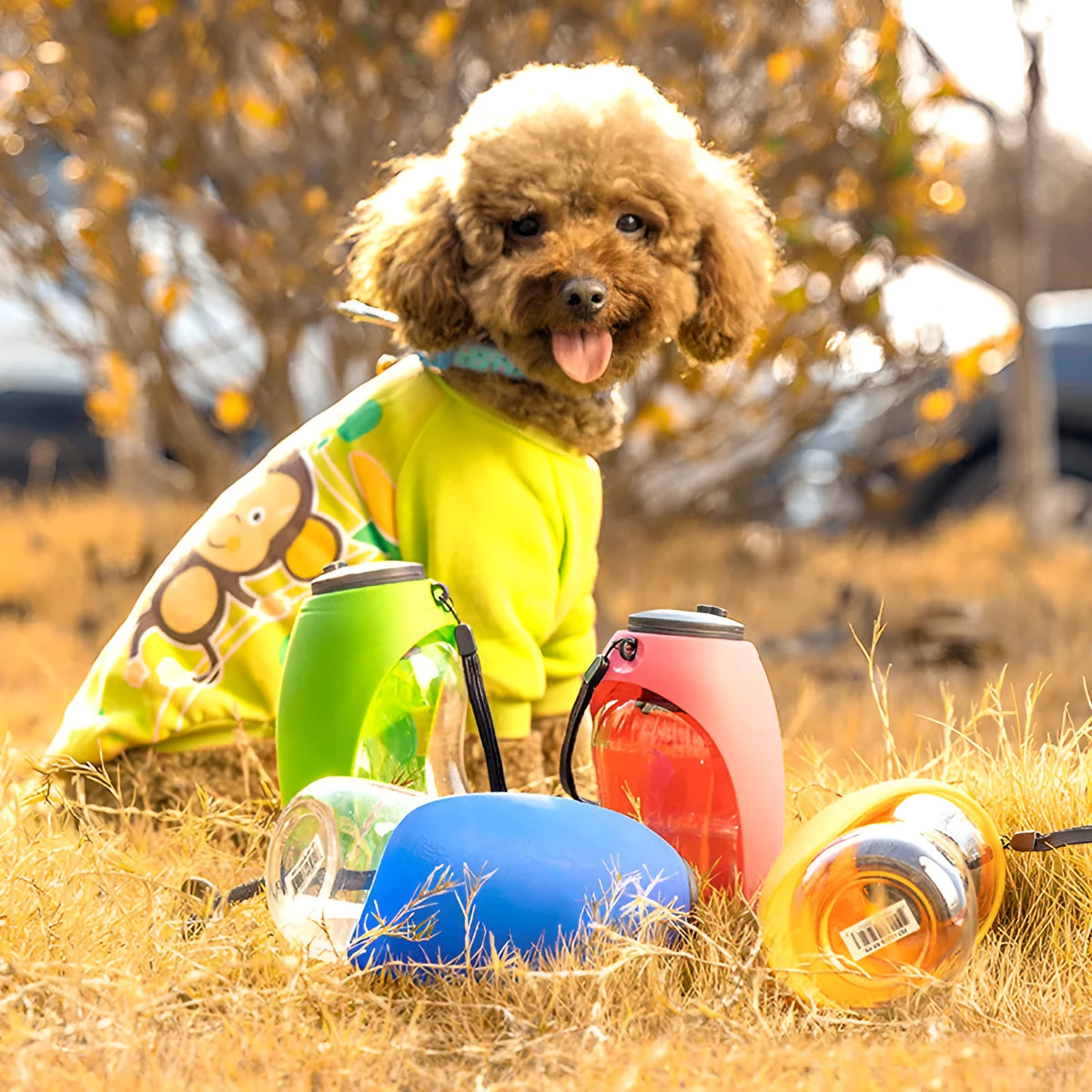 Portable blue dog water bottle with drinking bowl showing 680ml capacity and leak-proof design