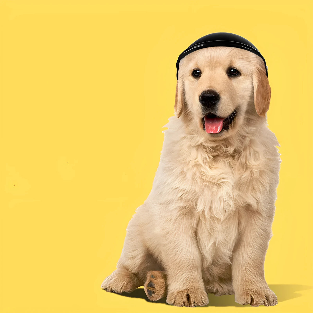 Small S size plastic pet motorcycle helmet shown in pink, black, yellow, and green colour options.