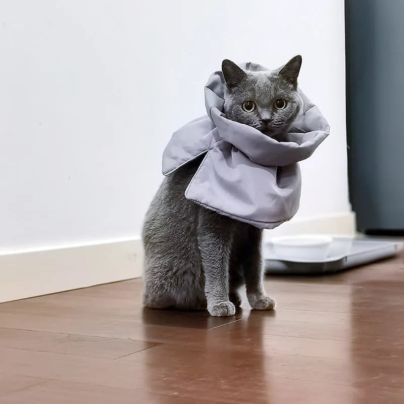 Soft adjustable polyester cat recovery collar in light blue shown on a model.