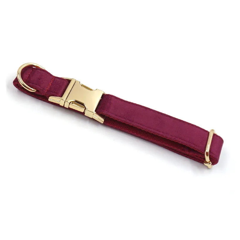 Soft burgundy velvet dog collar with gold metal clasp, available in XS to XL with optional engraving
