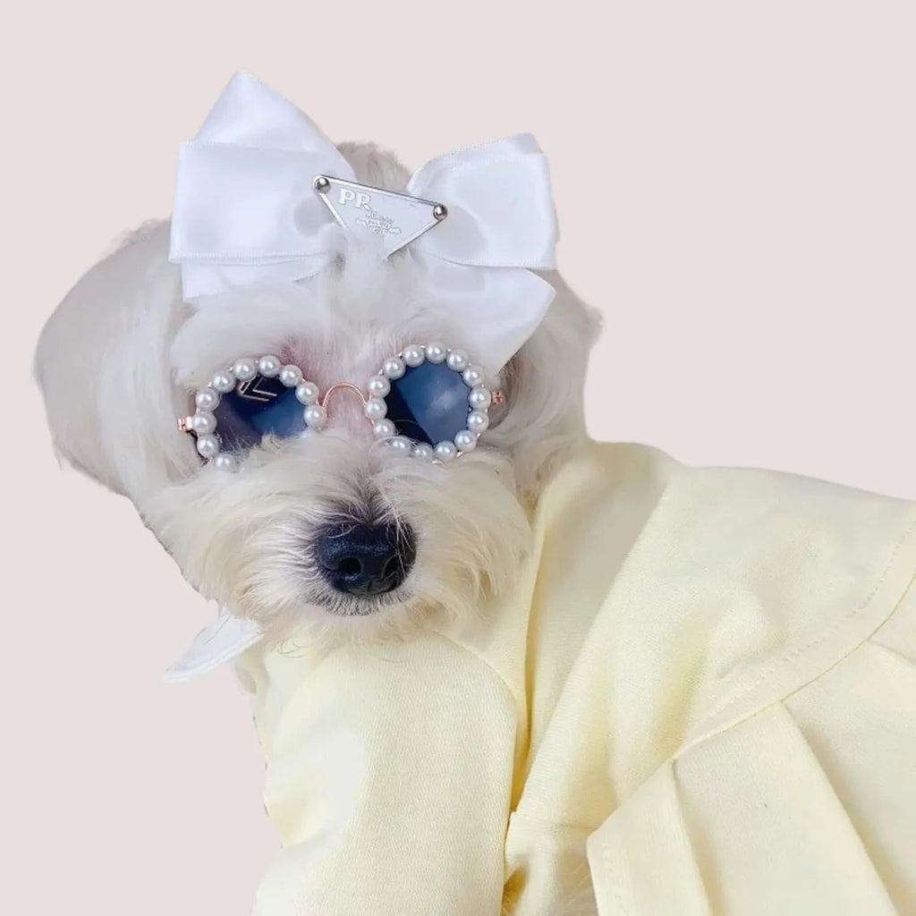 Pearl-rimmed round sunglasses for a cat or dog, shown in blue, with size options of 11cm and 8cm.