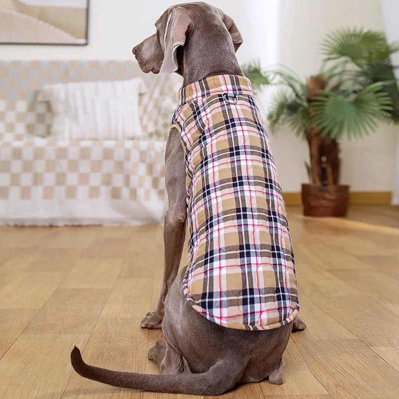 Winter dog jacket in heavy cotton quilted gourd fabric with plaid pattern and reflective webbing