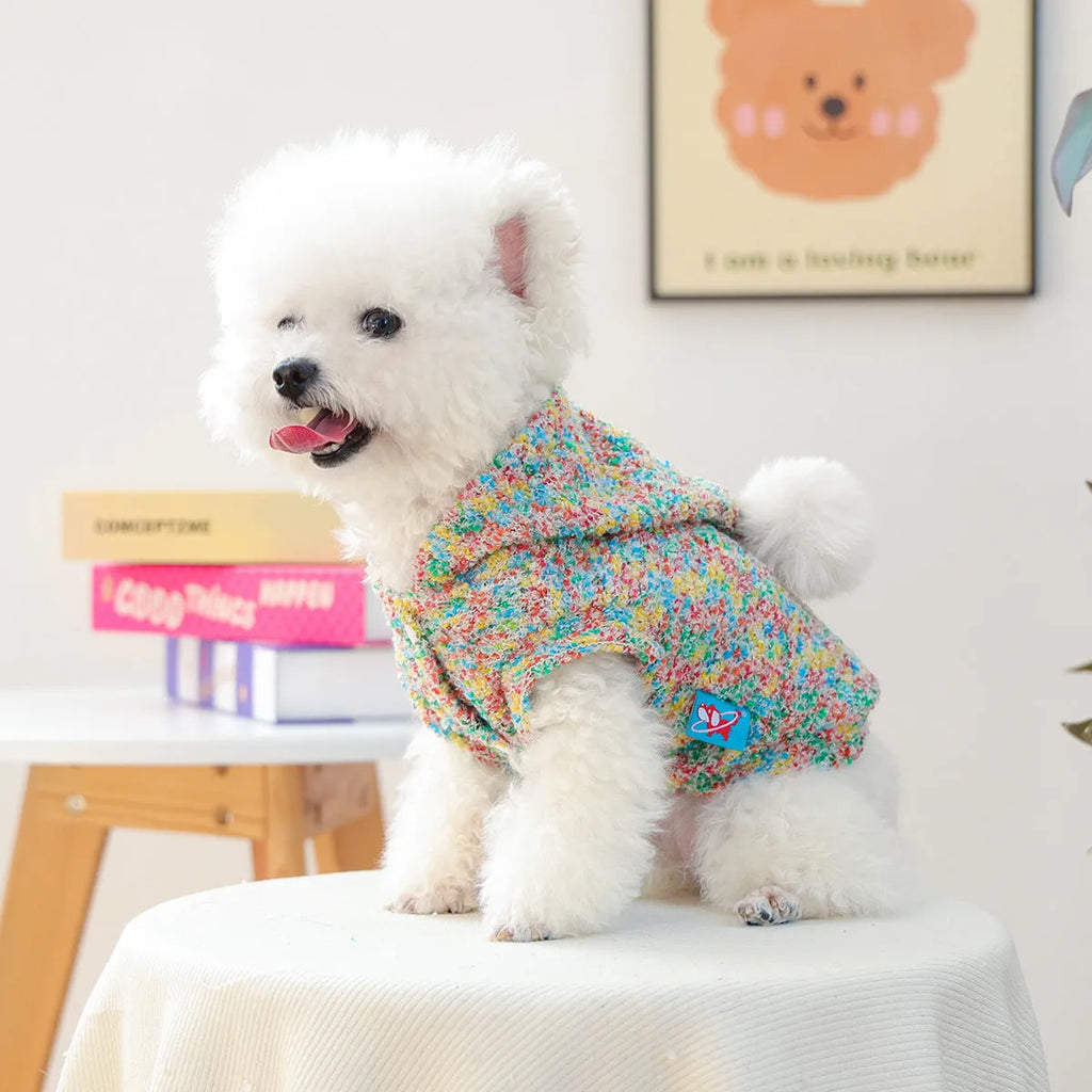 Candy-coloured polyester pet hoodie for small dogs and cats, unisex, sizes XS to XL